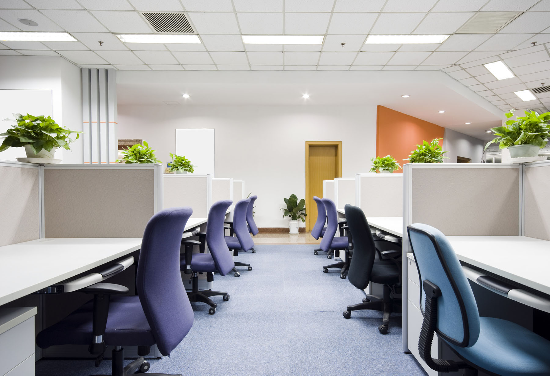 Office Flooring | Gateshead | Tyne and Wear | Northern Floorcraft